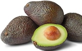 Penny - Avocado angereift Angebot im Prospekt Avocado angereift bei Penny im Prospekt "" für 0,66 €