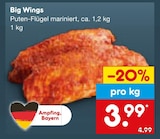 Aktuelles Big Wings Angebot bei Netto Marken-Discount in Augsburg ab 3,99 €