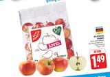 Tafeläpfel im Angebot bei EDEKA in Hof Tafeläpfel Angebote von Gut & Günstig bei EDEKA Hof für 1,49 €