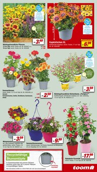 Marken Angebot im toom Baumarkt Prospekt, gültig von 03.06.2023 bis 09.06.2023 Marken Angebot im aktuellen toom Baumarkt Prospekt auf Seite 3