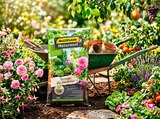 Terreau du Jardinier - ALGOFLASH dans le catalogue Carrefour