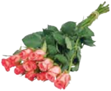 Vierländer Rosen bei EDEKA im Bargteheide Prospekt für 4,99 €