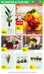 Offre Jardinage dans le catalogue Carrefour du moment à la page 61