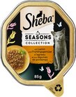 Katzennahrung im Angebot bei REWE in Laatzen Katzennahrung Angebote von Sheba bei REWE Laatzen für 0,49 €