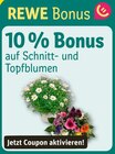 10 % Bonus im REWE Prospekt 10 % Bonus von REWE im aktuellen REWE Prospekt fĂŒr