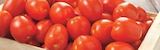 Intermarché Super Cucq - Promo Tomate Allongée Promo Tomate Allongée à 1,99 € dans le catalogue Intermarché Super à Cucq