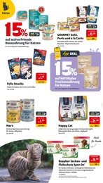 Das Futterhaus Gourmet im Prospekt 