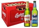 Budweiser im Angebot bei Nuck Getränke in Dresden Budweiser Angebote bei Nuck Getränke Dresden für 15,99 €