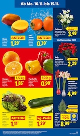 Aktueller Lidl Prospekt mit Blumen, "LIDL LOHNT SICH", Seite 15