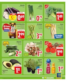 Rosmarin im EDEKA Prospekt "Wir lieben Lebensmittel." mit 30 Seiten (Augsburg)