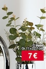 Vase Angebote bei Woolworth Pirna für 7,00 €