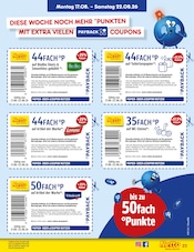 Ähnliche Vogelkäfig Angebote im Prospekt "Aktuelle Angebote" von Netto Marken-Discount in Saarlouis Ähnliche Angebote wie Vogelkäfig im Prospekt "Aktuelle Angebote" auf Seite 33 von Netto Marken-Discount in Saarlouis