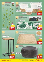 Lichterkette im Netto Marken-Discount Prospekt in Cottbus Aktueller Netto Marken-Discount Prospekt mit Lichterkette, "Aktuelle Angebote", Seite 33