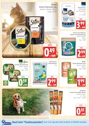 Marktkauf Vogelfutter im Prospekt 