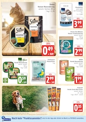 Aktueller Marktkauf Prospekt mit Tierbedarf, "Top Angebote", Seite 28