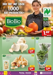 Pflanzen im Netto Marken-Discount Prospekt in Regensburg Aktueller Netto Marken-Discount Prospekt mit Pflanzen, "Aktuelle Angebote", Seite 6