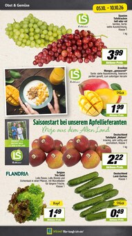 Äpfel im EDEKA Prospekt "Aktuelle Angebote" mit 17 Seiten (Münster)