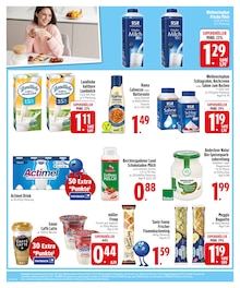 Joghurt im EDEKA Prospekt "Noch kein °Punktesammler? Hier direkt anmelden!" mit 30 Seiten (Regensburg)