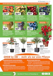 Obstbaum Angebot im aktuellen OBI Prospekt auf Seite 7
