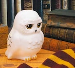 Hedwig Lampe Angebote von Harry Potter bei Netto mit dem Scottie Oranienburg für 19,99 €