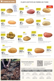 Offre Légume dans le catalogue Espace Emeraude du moment à la page 2