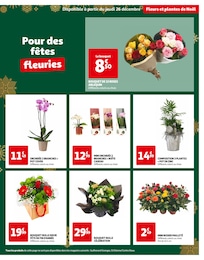 Offre Fleurs dans le catalogue Auchan Hypermarché du moment à la page 7