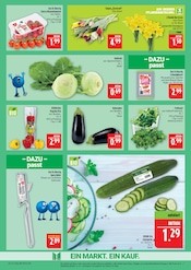 Aktueller Marktkauf Prospekt mit Blumen, "AUSWAHL RIESIG, PREISE NIEDRIG", Seite 7