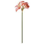 Kunstblume drinnen/draußen Amaryllis/rot weiß Angebote von VINTERFINT bei IKEA Münster für 3,49 €