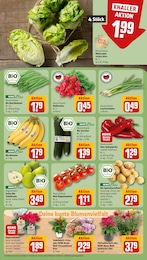 Bio Zucchini Angebot im aktuellen REWE Prospekt auf Seite 7