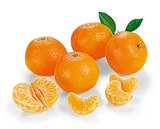 Bio Clementinen im Angebot bei REWE in Fürth Bio Clementinen Angebote von REWE BIO bei REWE Fürth für 2,49 €