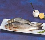 Bar d'aquaculture dans le catalogue Hyper U