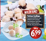 Tiefsee-Scallops im aktuellen Prospekt bei famila Nordost in Oersdorf