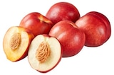 Aktuelles Gelb- oder weißfleischige Nektarinen Angebot bei REWE in Duisburg ab 3,49 €