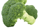 Broccoli Angebote bei METRO Salzgitter für 1,72 €
