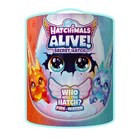 Hatchimals Alive - Éclosion mystère - PELUCHES HATCHIMALS à 58,90 € dans le catalogue Carrefour