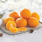 Intermarché Hyper Montpon-Ménestérol - Promo Mandarine Promo Mandarine à 1,59 € dans le catalogue Intermarché Hyper à Montpon-Ménestérol