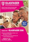 GLASFASER 300 bei Bührs Telekommunikations GmbH & Co.KG im Haselünne Prospekt für 19,95 €