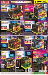 Norma Fasching im Prospekt 