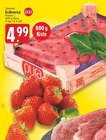 Aktuelles Erdbeeren Angebot bei E center in Bielefeld ab 4,99 €
