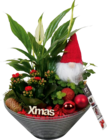 Weihnachtliches Arrangement "X-Mas" im Angebot bei Hornbach in Neuenhagen Weihnachtliches Arrangement "X-Mas" Angebote bei Hornbach Neuenhagen für 12,95 €