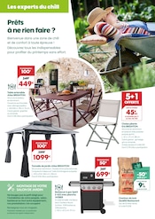 Promos Barbecue dans le catalogue "NOUVEAU PRINTEMPS" de Truffaut à la page 4