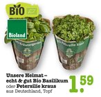 Aktuelles Bio Basilikum Angebot bei E center in Frankfurt (Main) ab 1,59 €