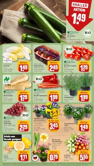 Tulpen im aktuellen REWE Prospekt (Ludwigshafen (Rhein)) Tulpen im REWE Prospekt "Dein Markt" mit 32 Seiten (Ludwigshafen (Rhein))