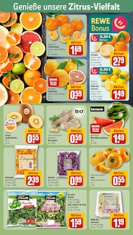 Rucola im aktuellen REWE Prospekt (Dortmund) Rucola im REWE Prospekt "Dein Markt" mit 22 Seiten (Dortmund)