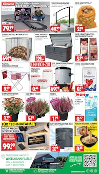 Kartoffeln im Wreesmann Prospekt "DEIN SAISON- & SONDERPOSTENMARKT!" mit 12 Seiten (Dresden)