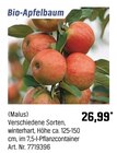 Aktuelles Bio-Apfelbaum Angebot bei OBI in Nürnberg ab 26,99 €
