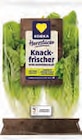 Angebot im EDEKA Pinneberg Prospekt EDEKA Pinneberg Prospekt mit im Angebot für 0,99 €