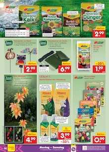 Pflanzenerde im Netto Marken-Discount Prospekt "Aktuelle Angebote" mit 71 Seiten (Hannover)
