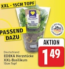 nah und gut - Herzstücke XXL-Basilikum Angebot im Prospekt Herzstücke XXL-Basilikum bei nah und gut im Prospekt "" für 1,49 €