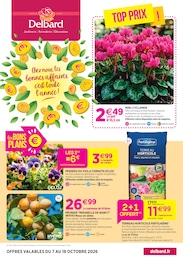 Catalogue Jardineries & Animaleries de Delbard à Gennevilliers Prospectus Delbard à Gennevilliers, "Chez nous les bonnes affaires c'est toute l'année", 8 pages, 07/10/2026 - 18/10/2026